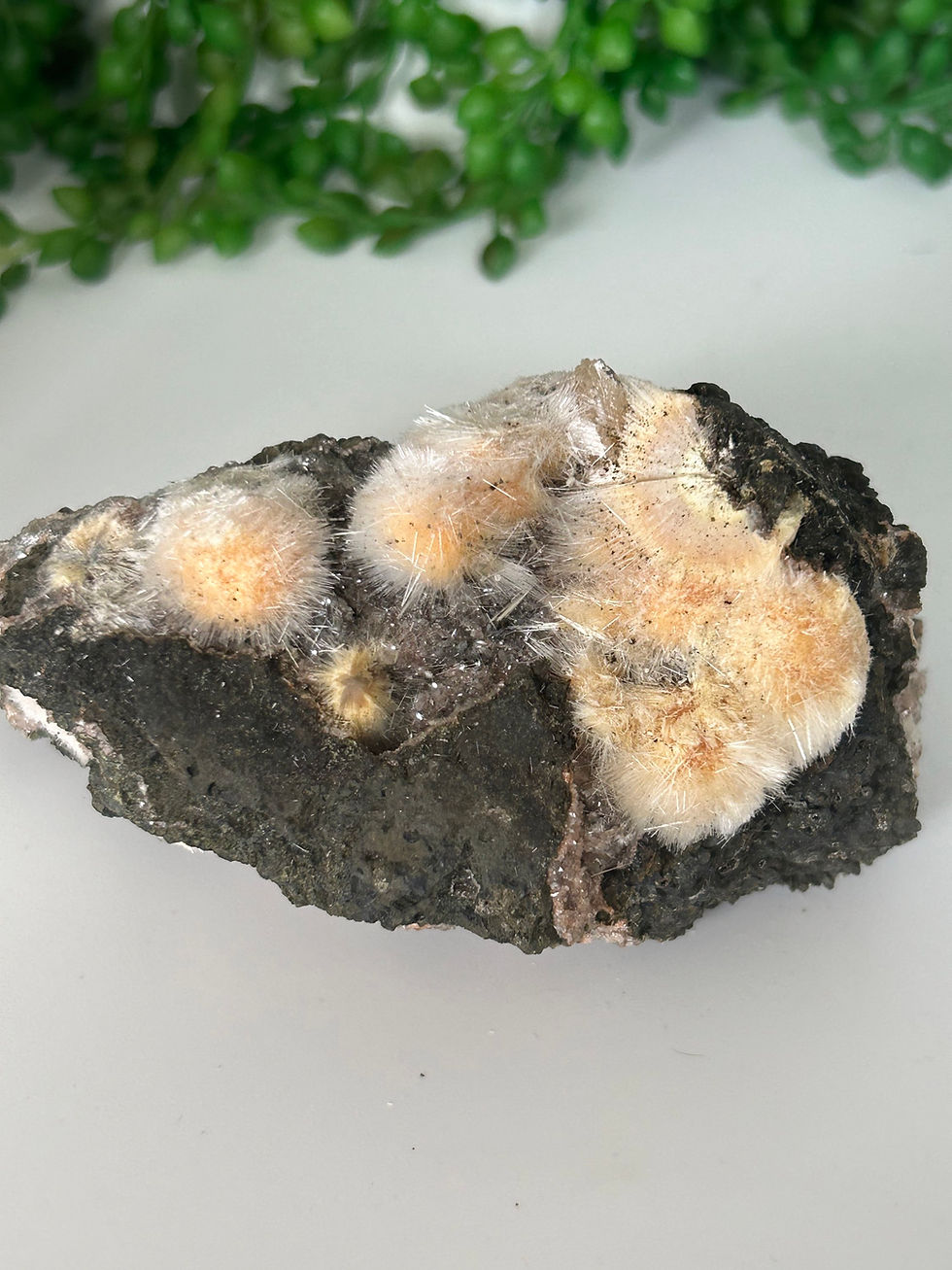 Thumbnail: Thomsonite Specimen