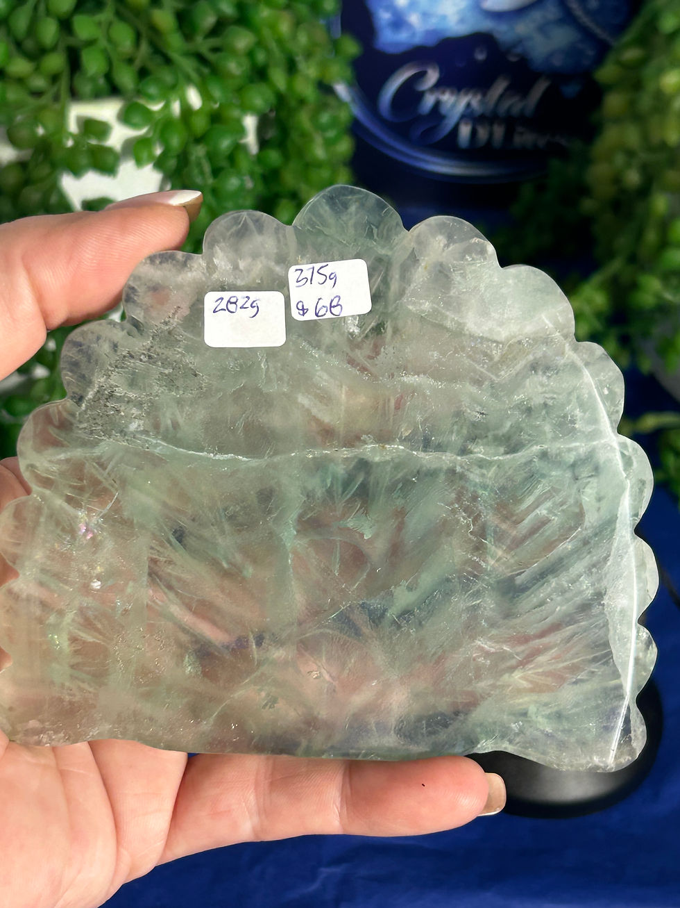 Thumbnail: Fluorite Peacock