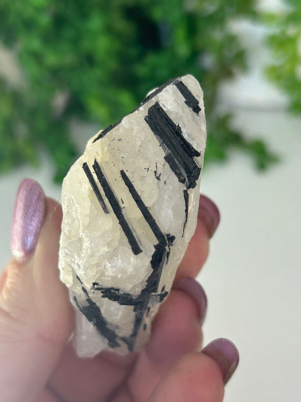 Thumbnail: Raw Black Tourmaline in Quartz
