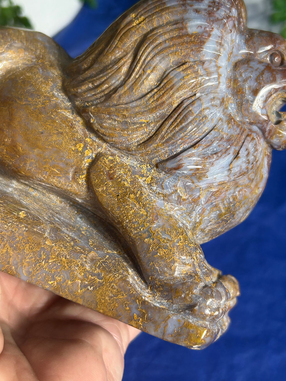 Thumbnail: Ocean Jasper Lion