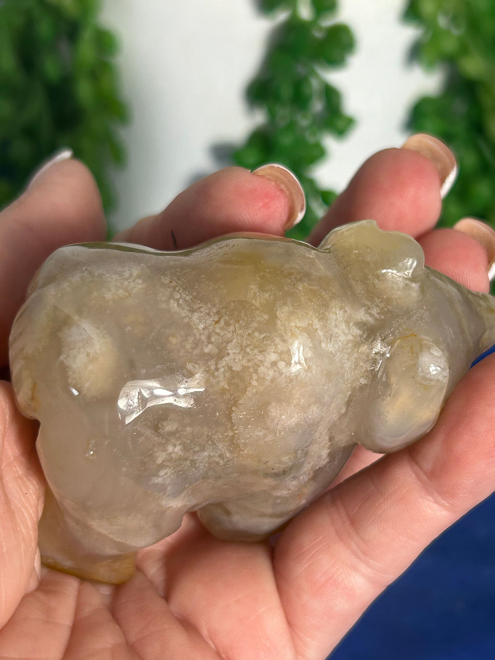 Thumbnail: Flower Agate Bear