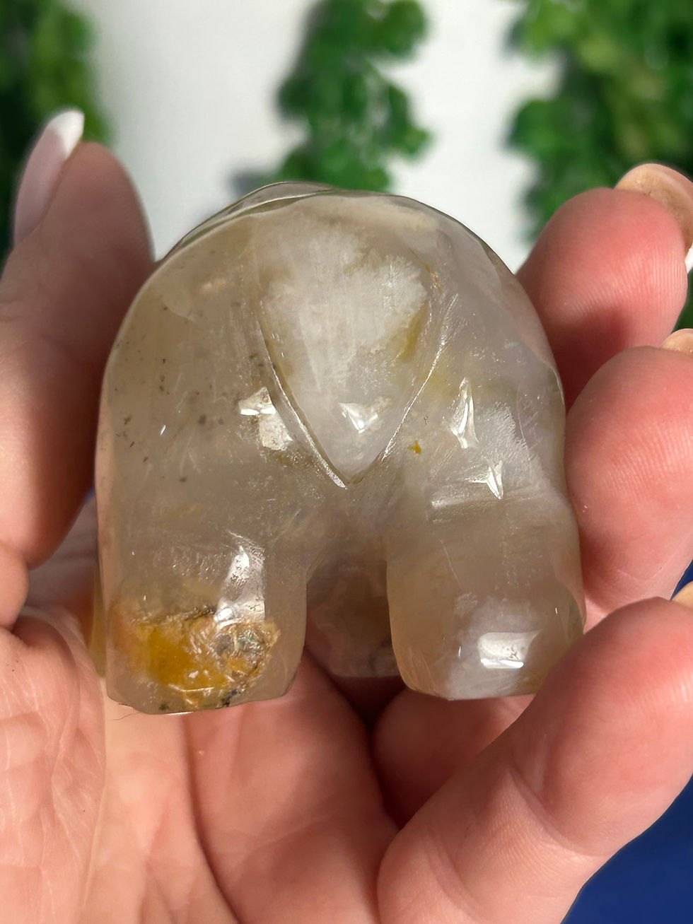 Thumbnail: Flower Agate Bear
