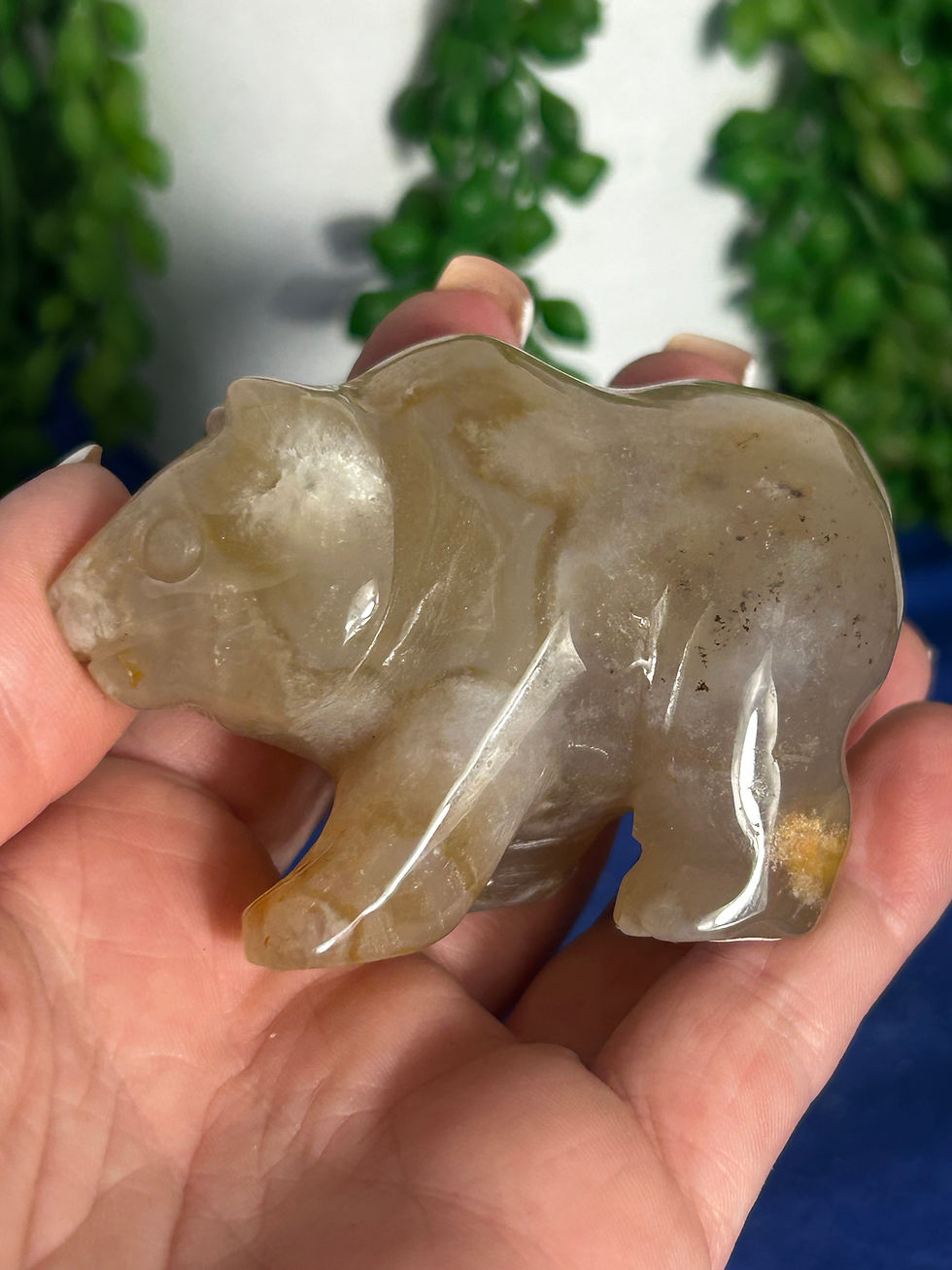 Thumbnail: Flower Agate Bear