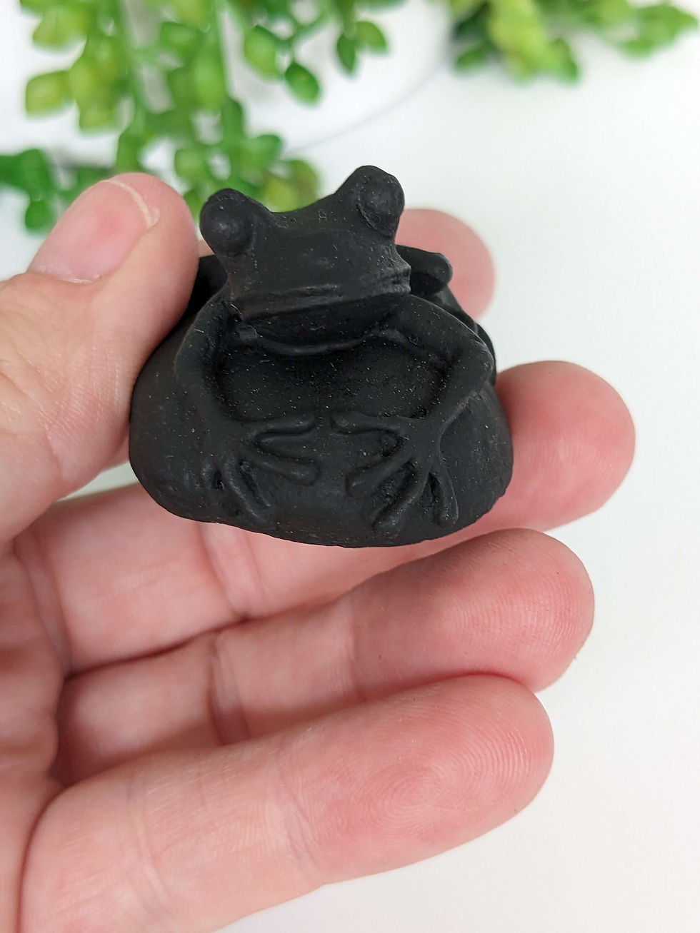 Thumbnail: Shungite frog 