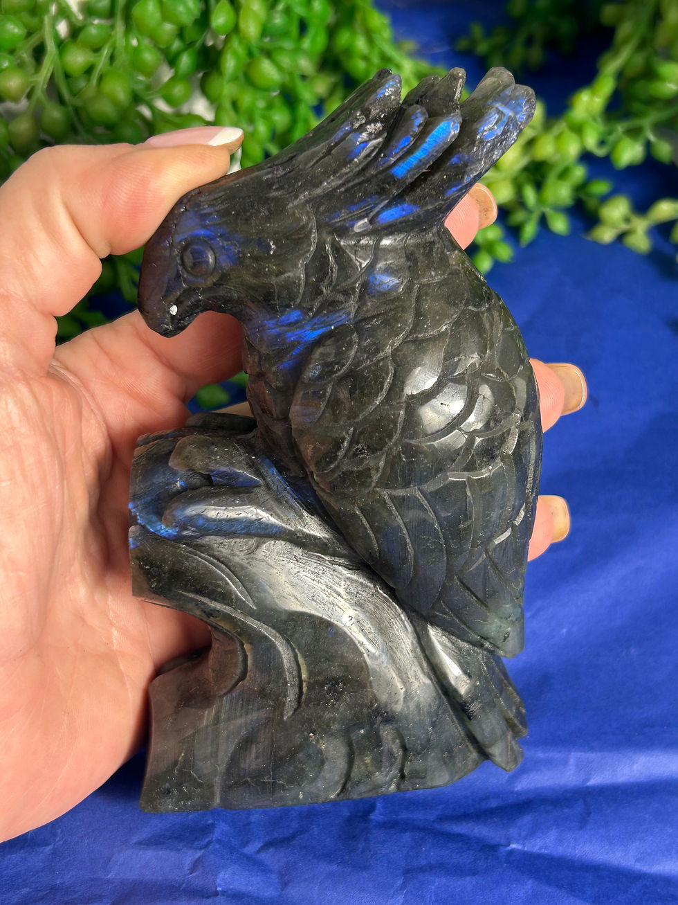 Thumbnail: Labradorite Cockatoo