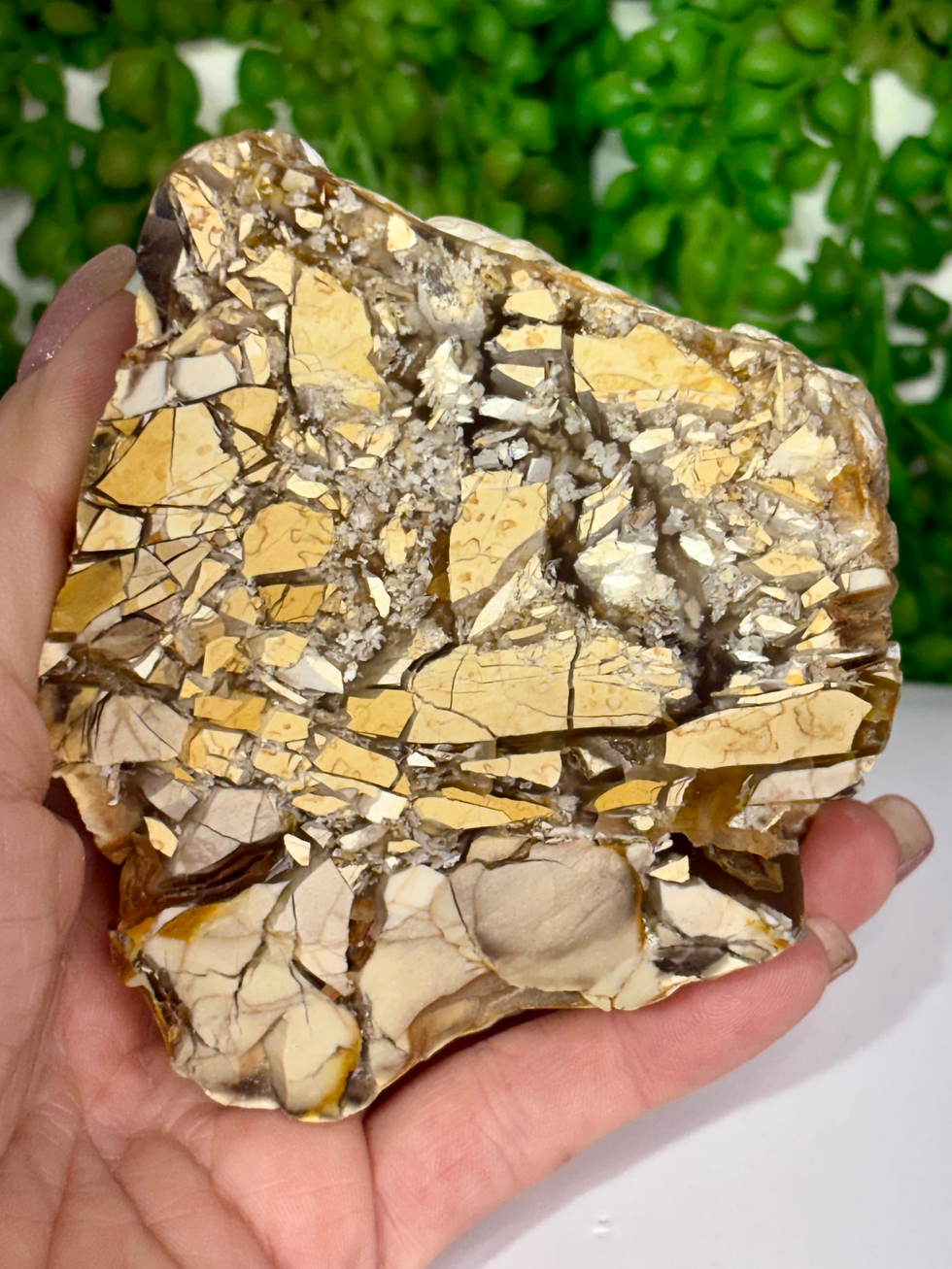 Thumbnail: Brecciated Mookaite Freeform