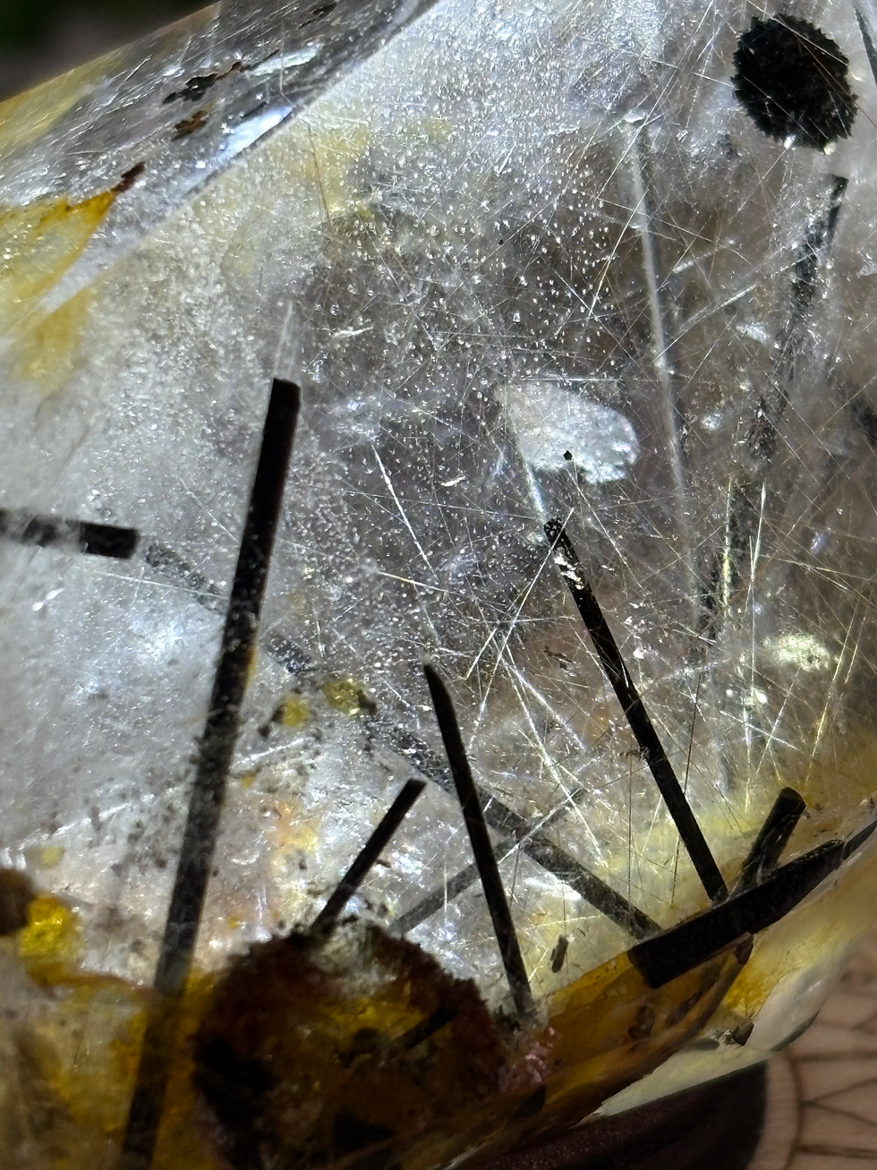 Thumbnail: Black Tourmaline in Quartz Freeform