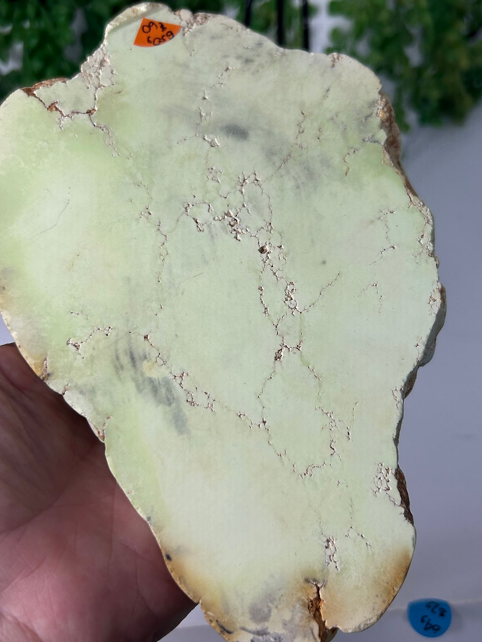Thumbnail: Lemon Chrysoprase Polished Slice