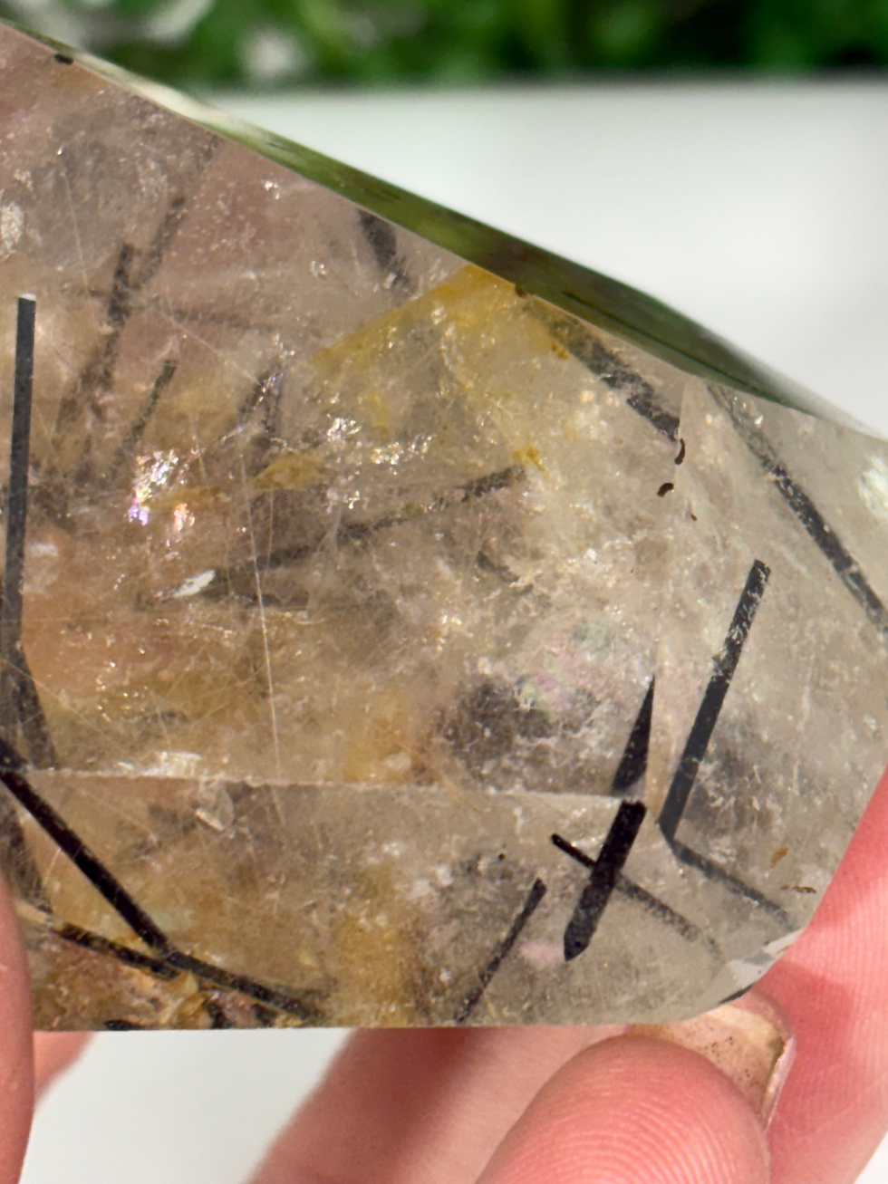 Thumbnail: Black Tourmaline in Quartz Freeform
