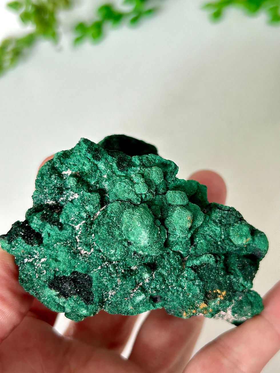 Thumbnail: Atacamite and Malachite Specimen