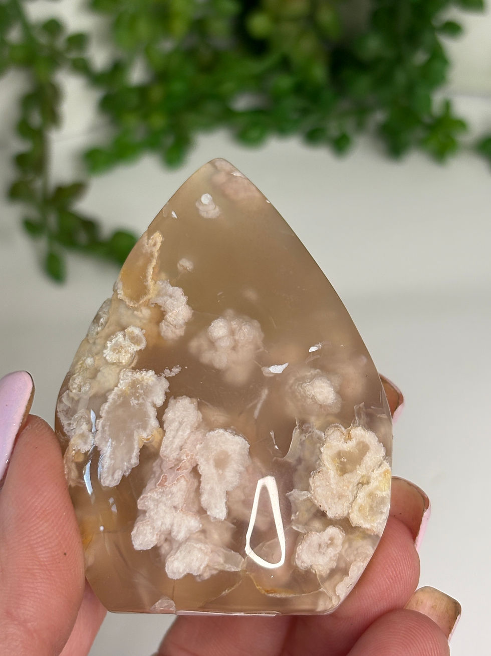 Thumbnail: Flower Agate Teardrop