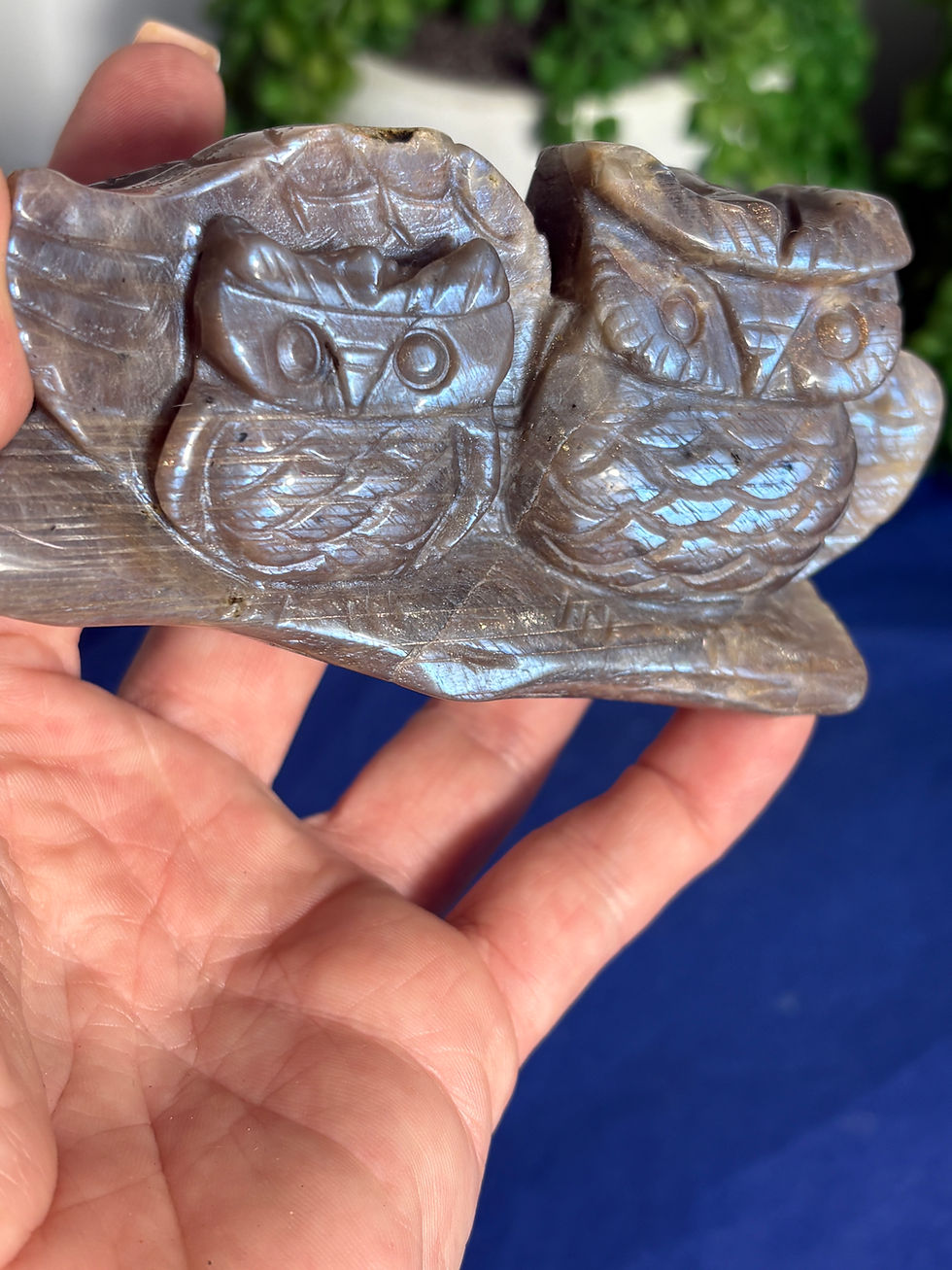 Thumbnail: Moonstone Owl