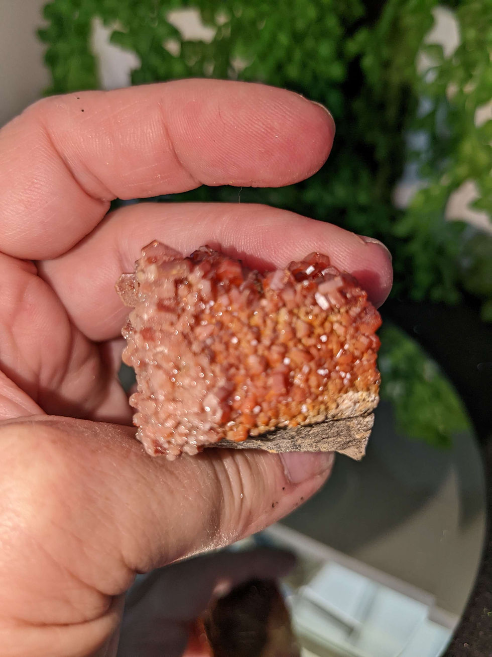 Thumbnail: Vanadinite Specimen
