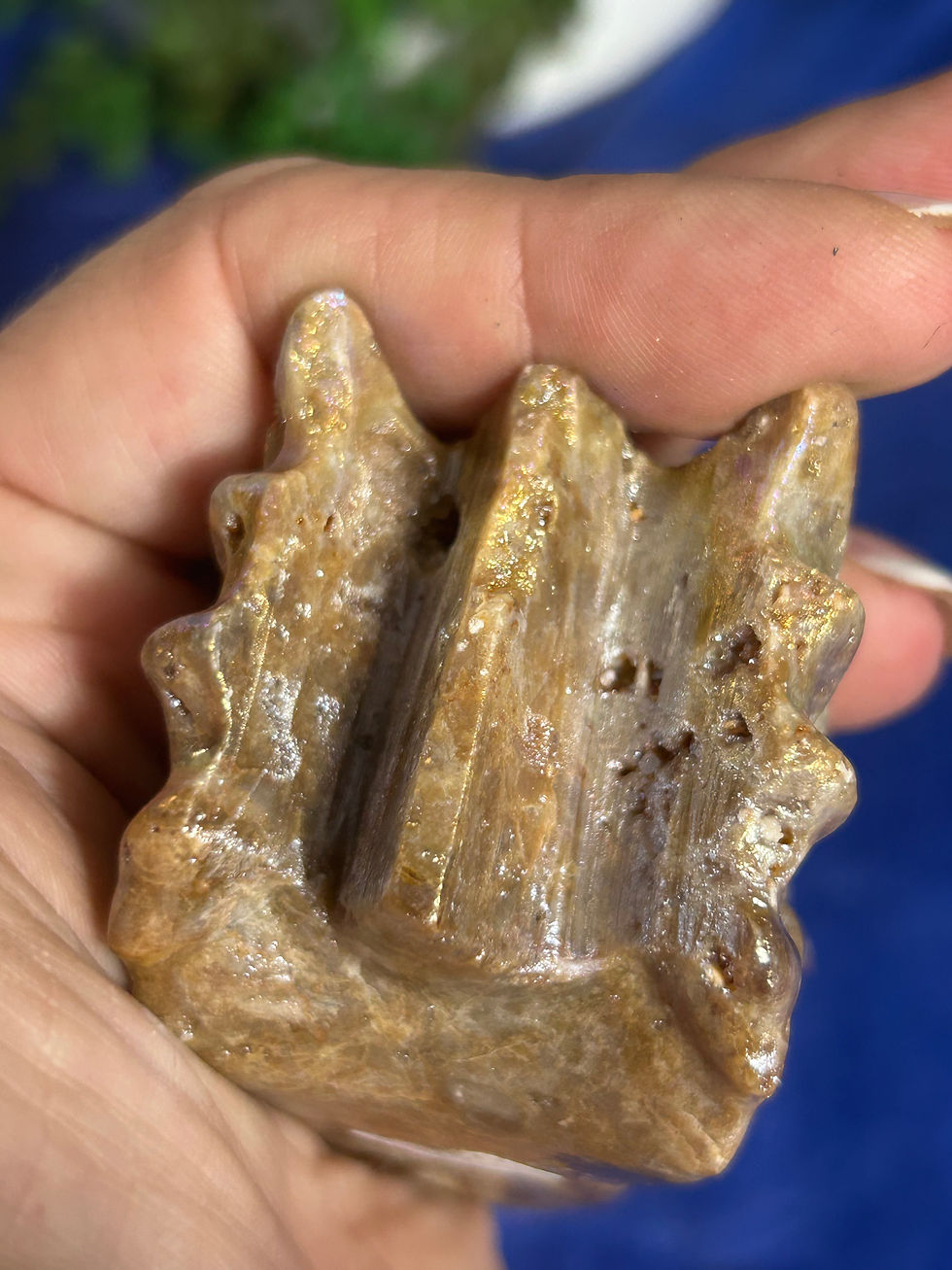 Thumbnail: Aura Sphalerite Dragon Head