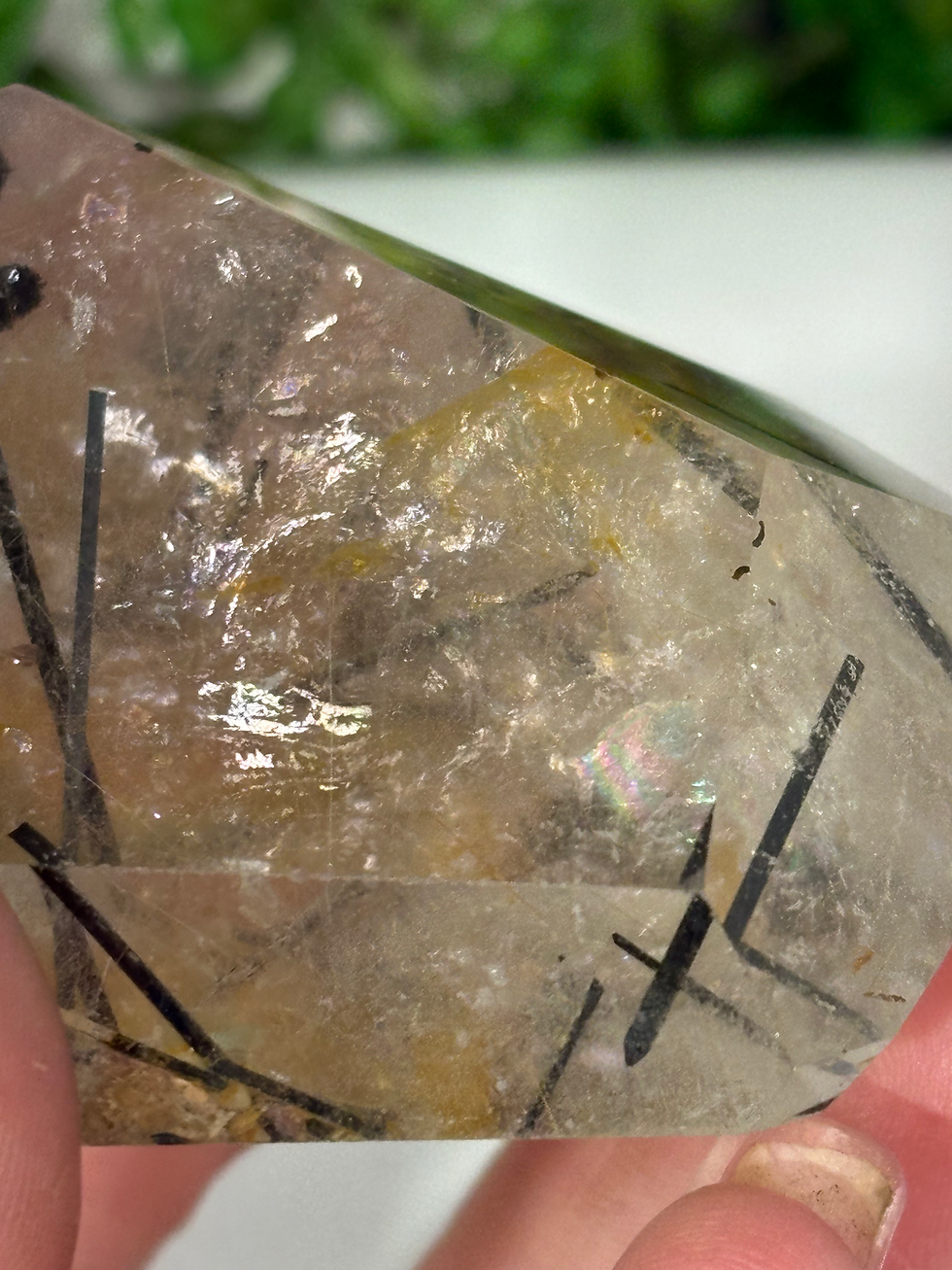 Thumbnail: Black Tourmaline in Quartz Freeform