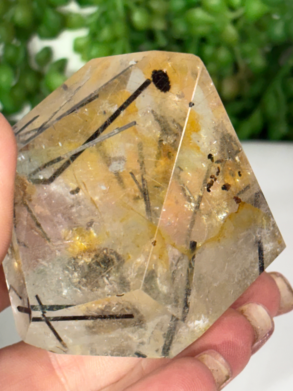 Thumbnail: Black Tourmaline in Quartz Freeform