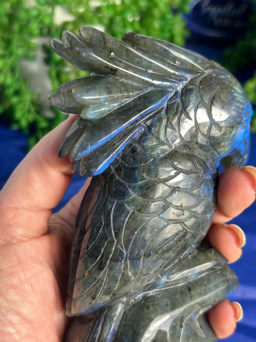 Thumbnail: Labradorite Cockatoo