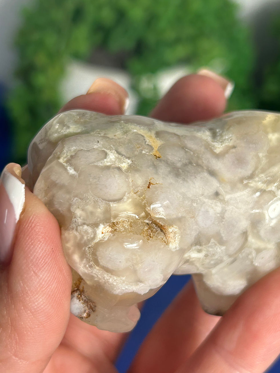Thumbnail: Flower Agate Bear
