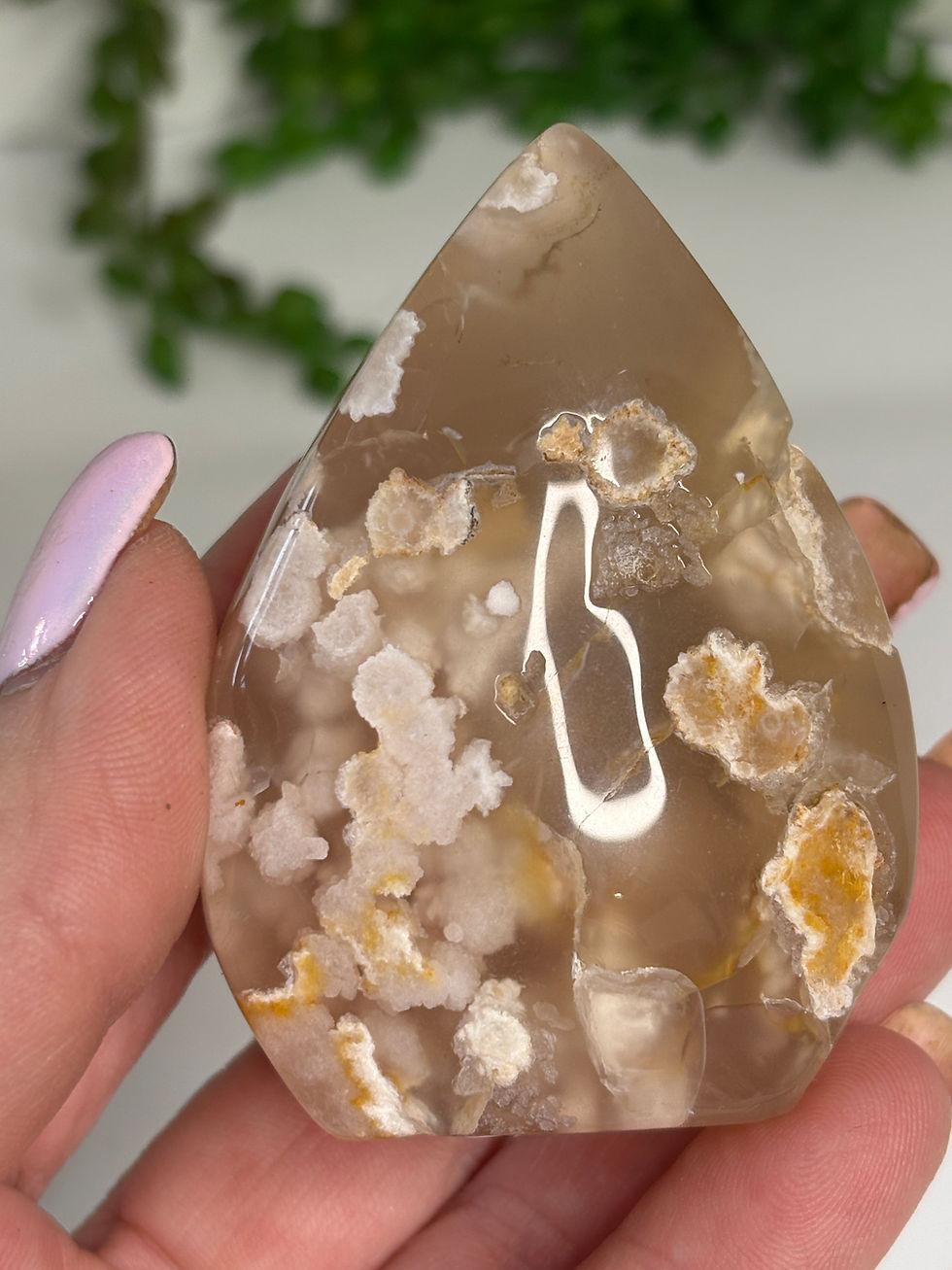 Thumbnail: Flower Agate Teardrop