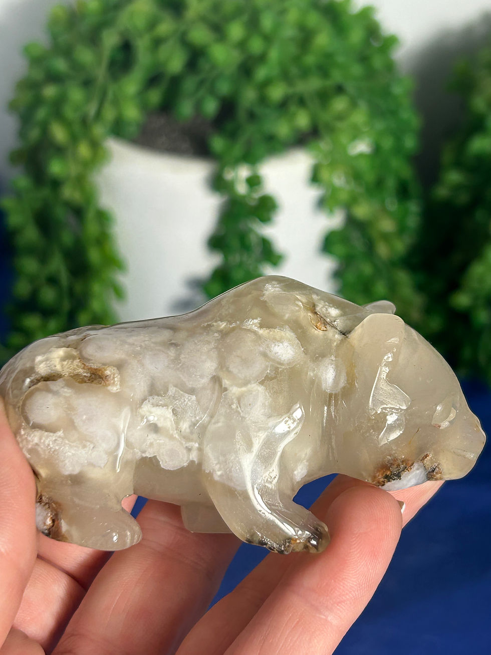 Thumbnail: Flower Agate Bear