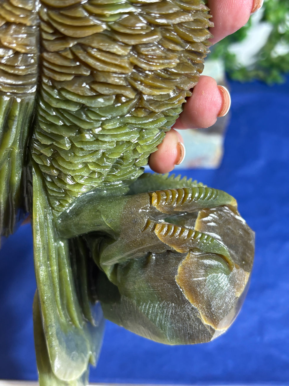 Thumbnail: Green Jade Cockatoo