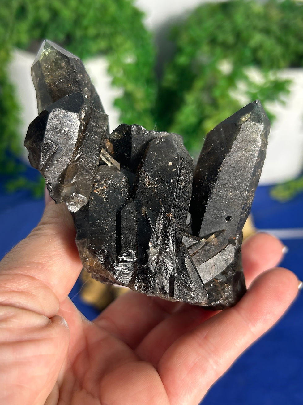 Thumbnail: Smoky Quartz Cluster