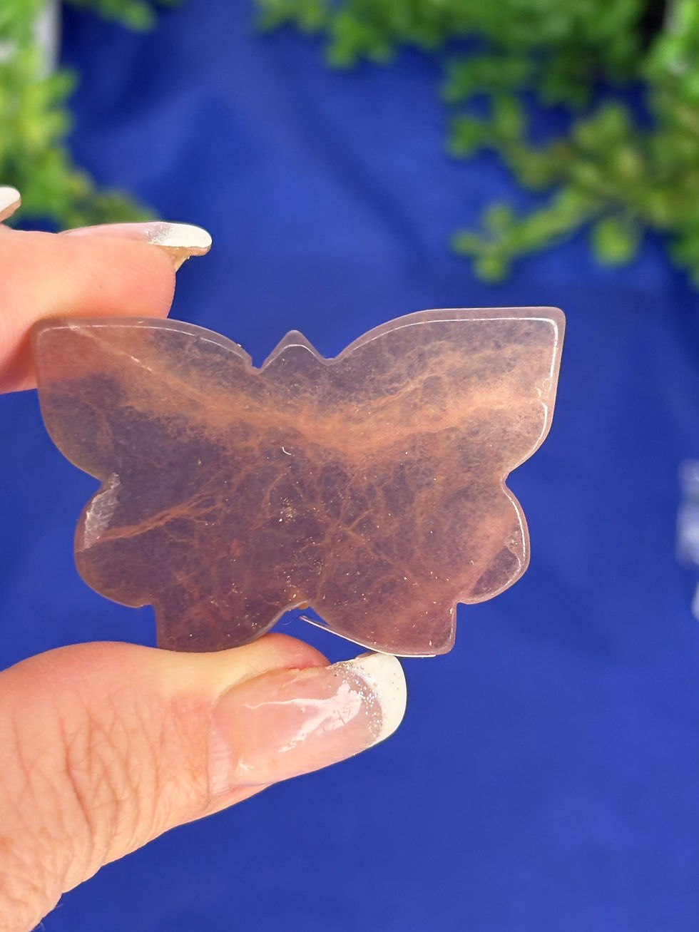 Thumbnail: Fluorite Butterfly