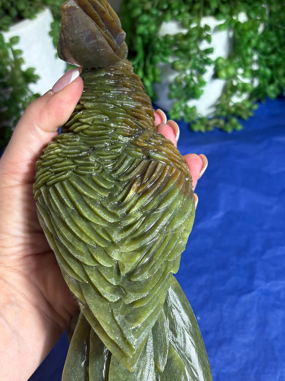Thumbnail: Green Jade Cockatoo