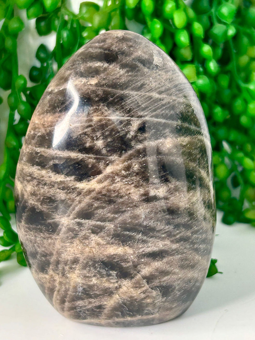 Thumbnail: Black Moonstone Free Form