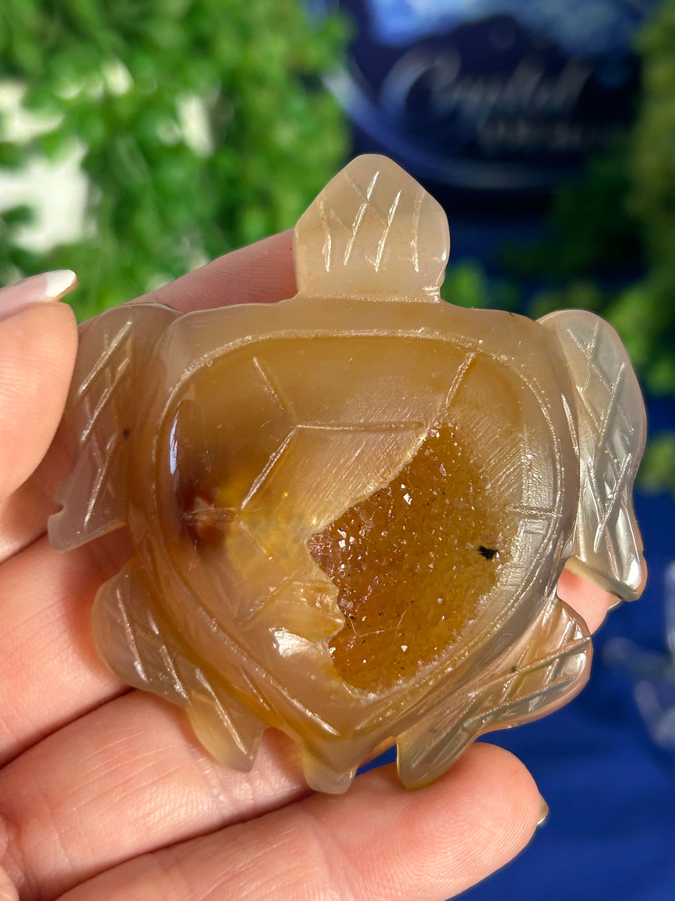Thumbnail: Druzy Agate Turtle