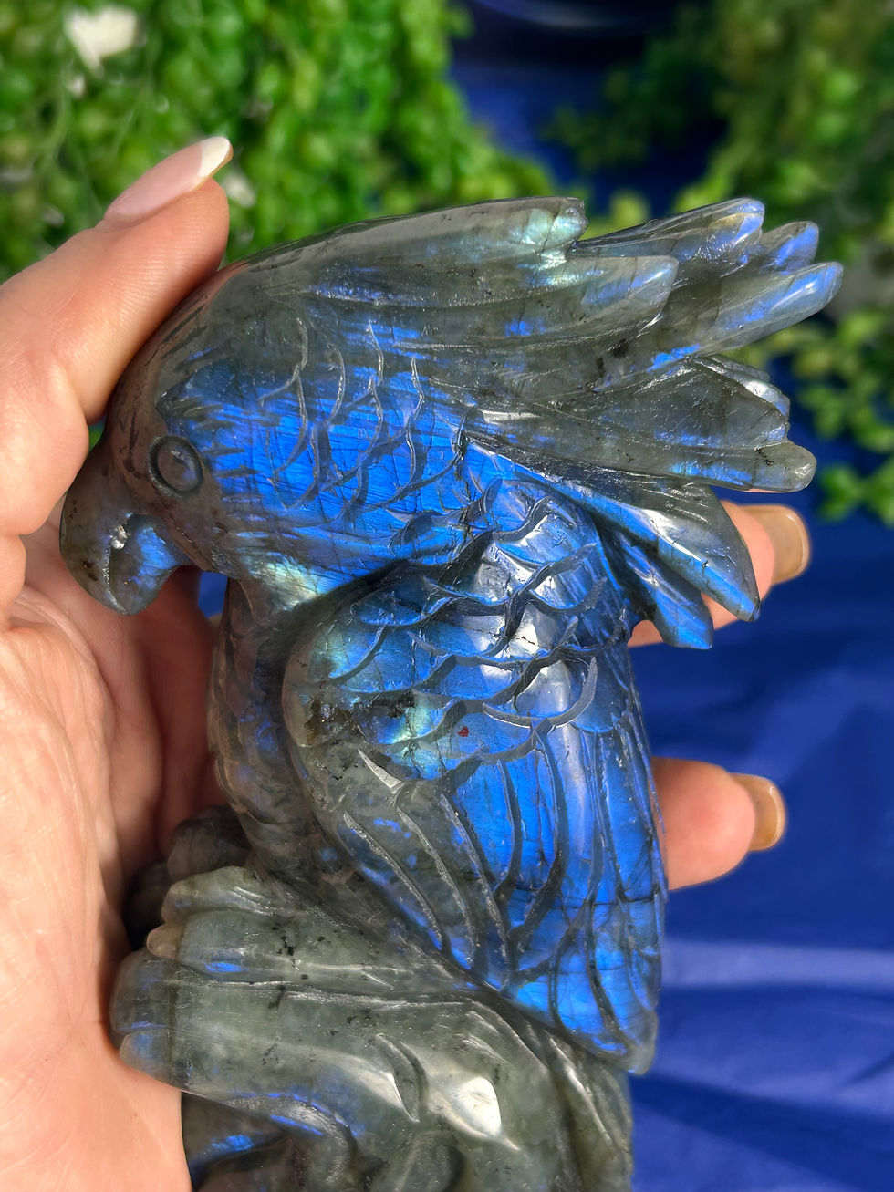 Thumbnail: Labradorite Cockatoo
