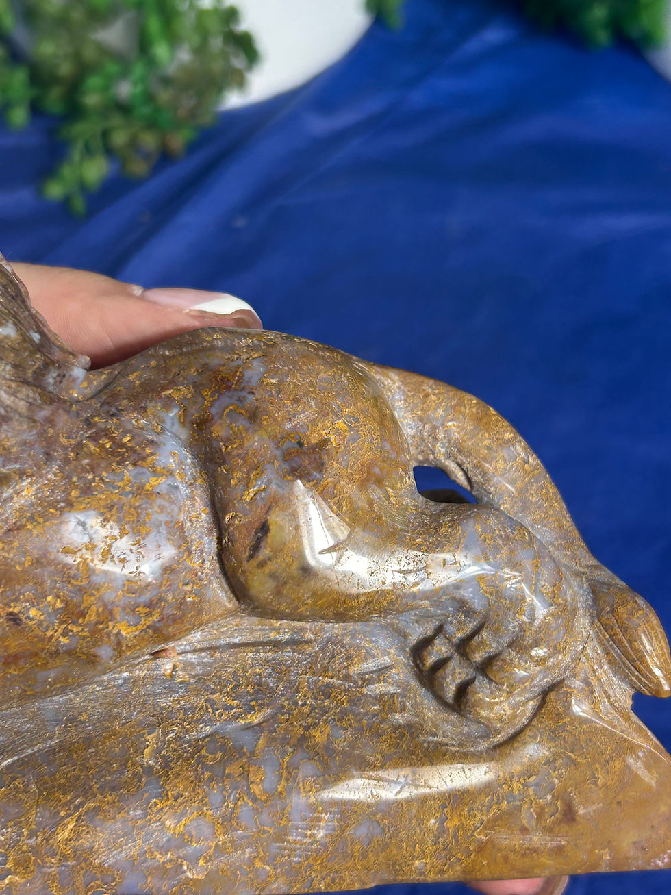 Thumbnail: Ocean Jasper Lion