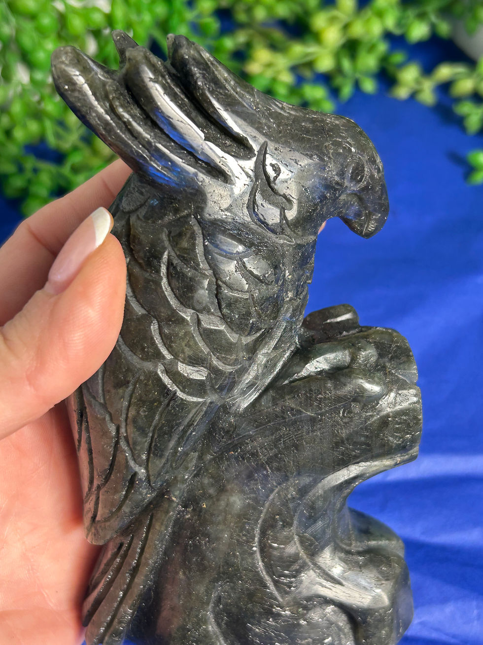 Thumbnail: Labradorite Cockatoo