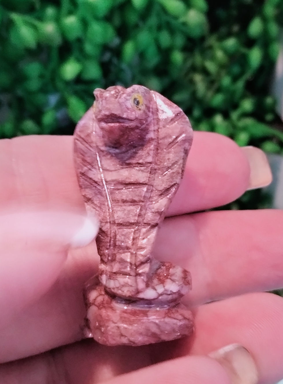 Thumbnail: Soapstone Cobra
