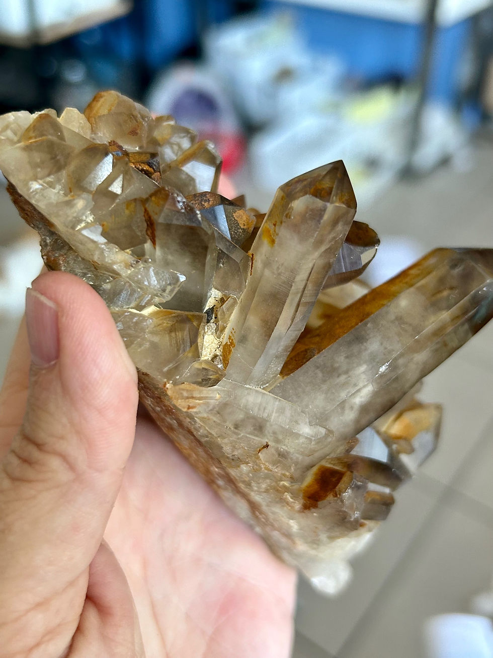 Thumbnail: Smoky Quartz Cluster