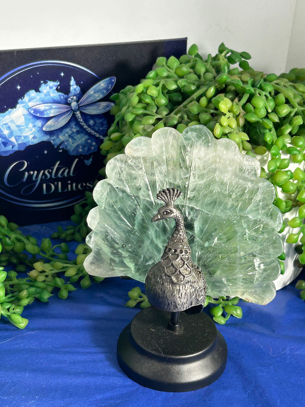 Thumbnail: Fluorite Peacock