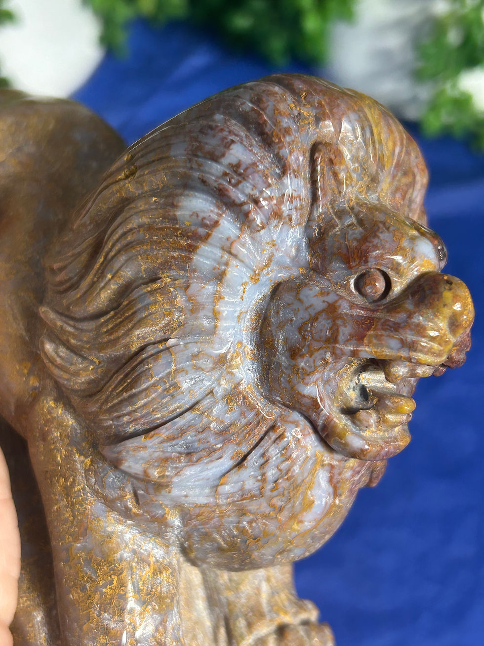 Thumbnail: Ocean Jasper Lion