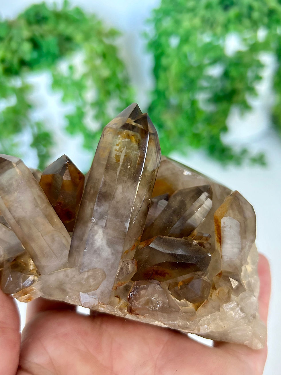 Thumbnail: Smoky Quartz Cluster