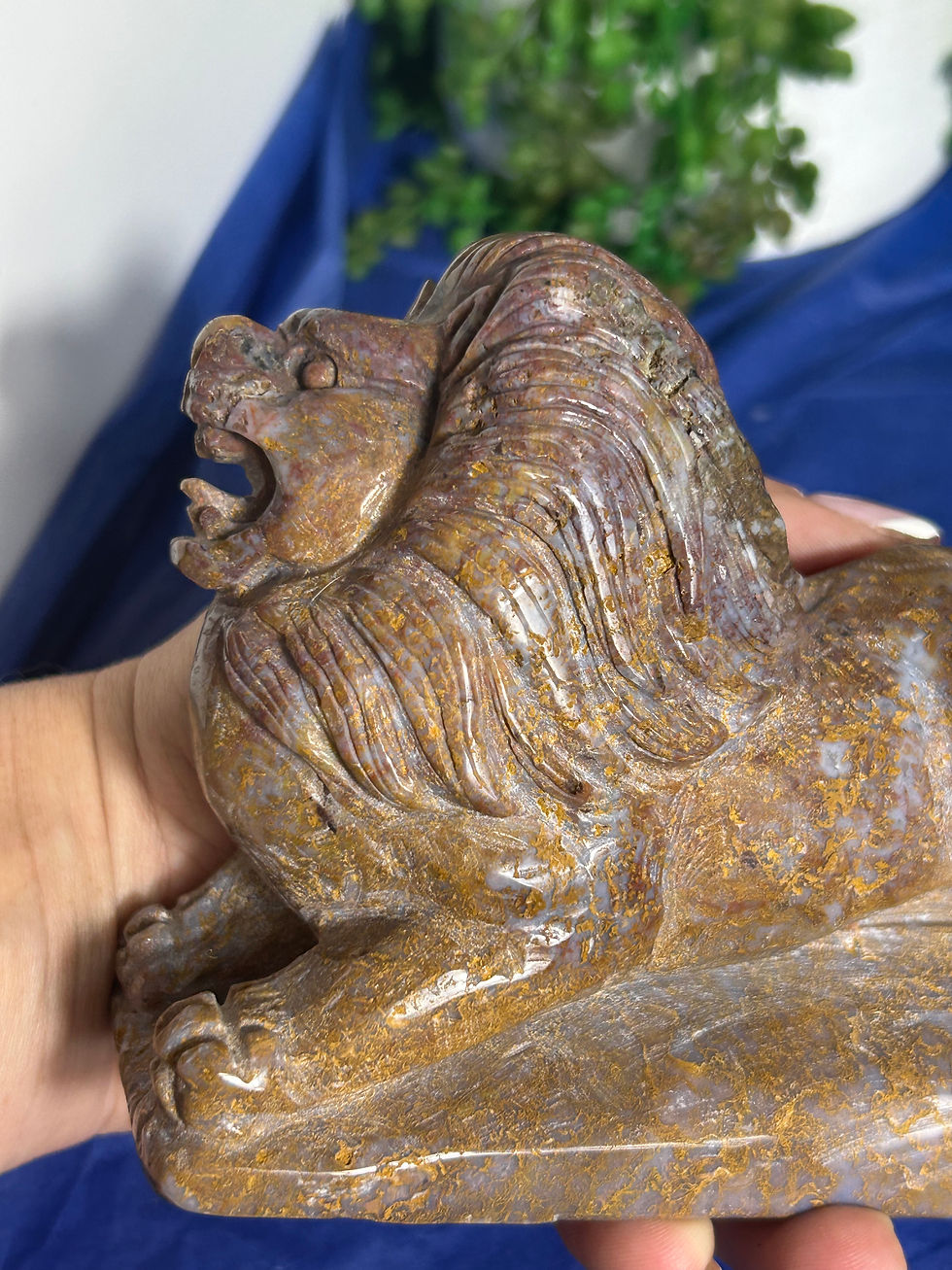Thumbnail: Ocean Jasper Lion