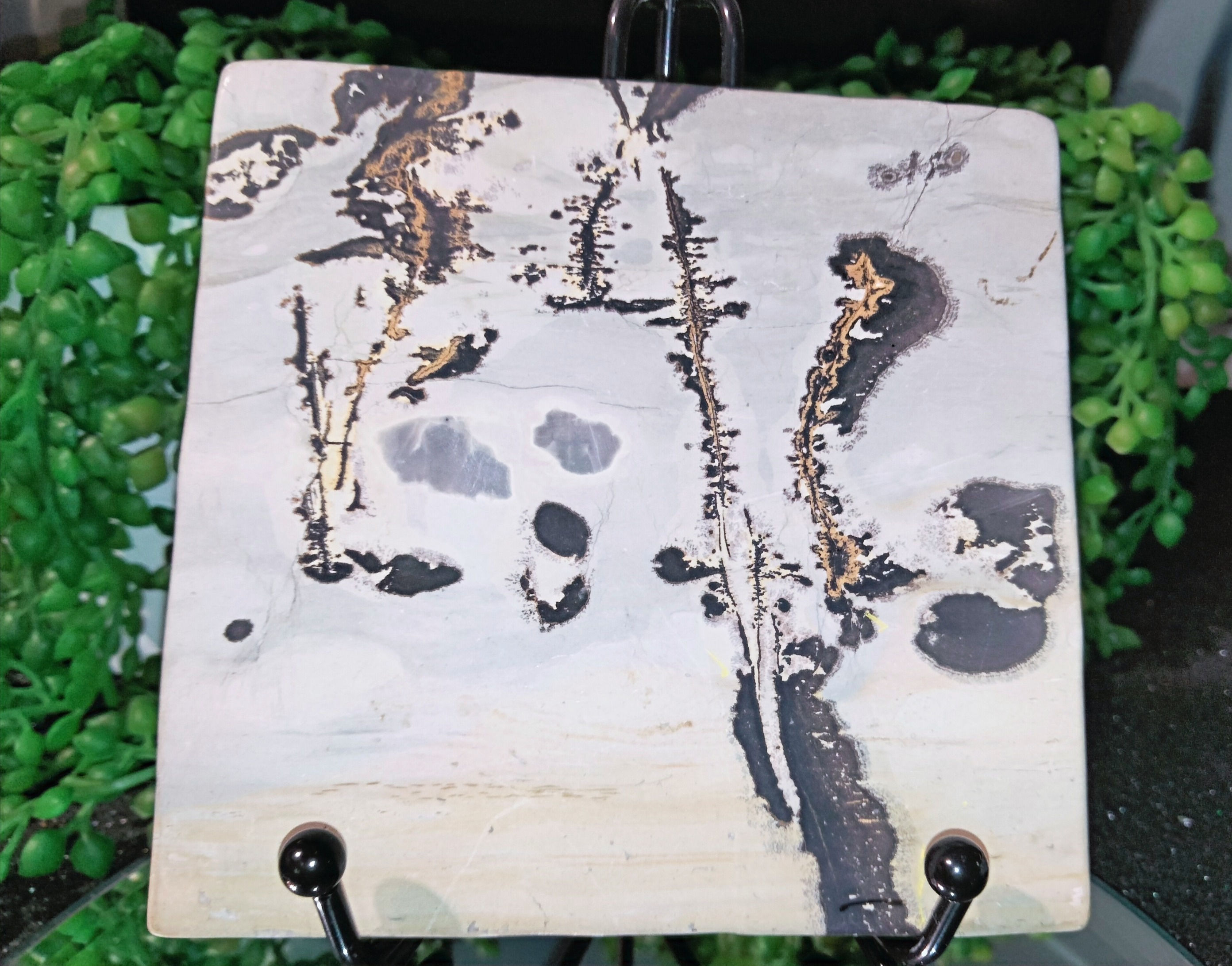 Dendritic Jasper Slab