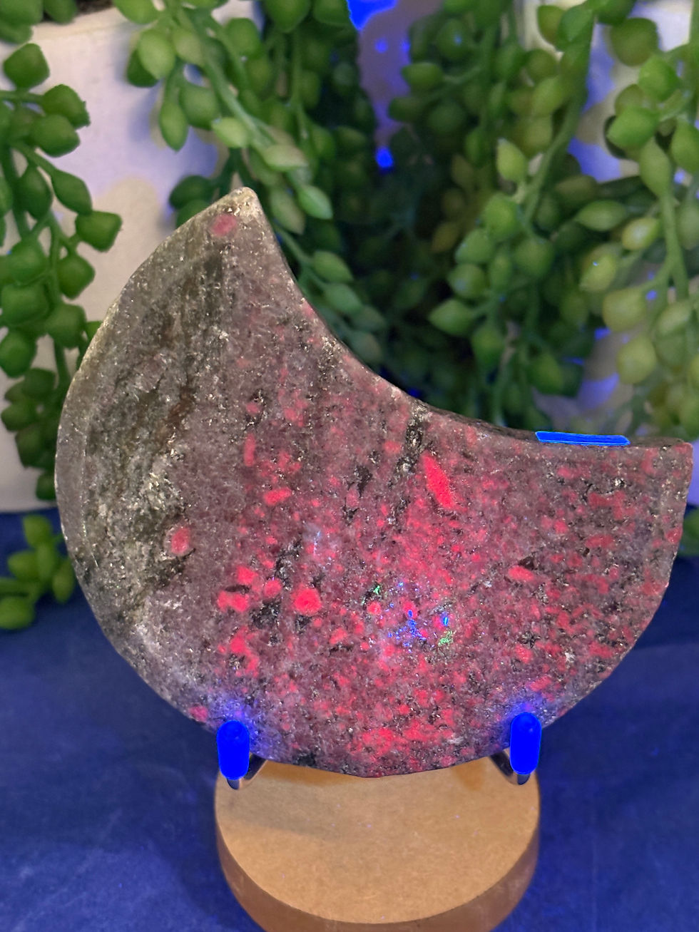 Thumbnail: Ruby in Kyanite and Fuschite Moon