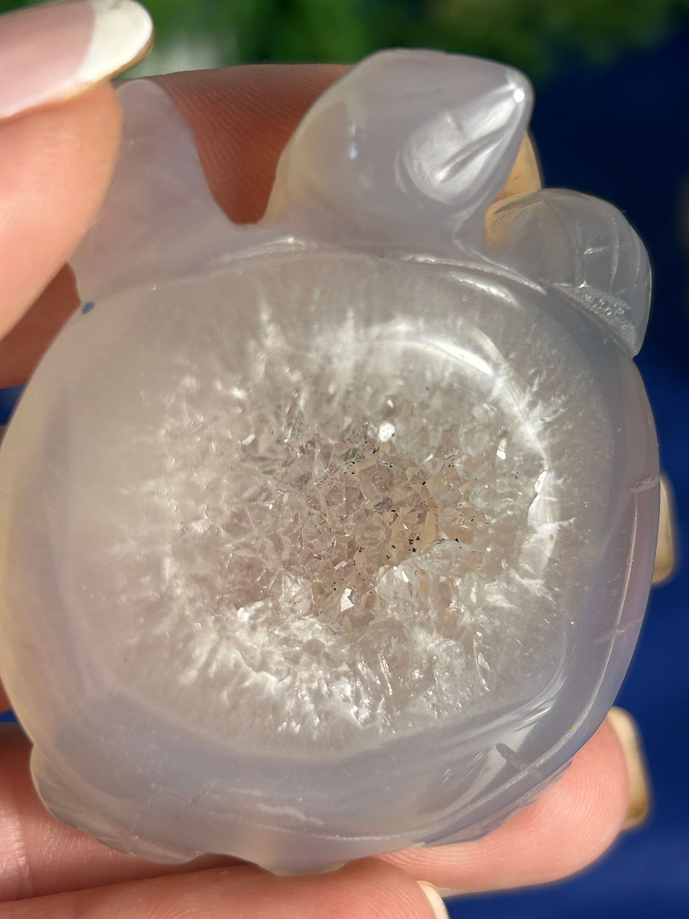 Thumbnail: Druzy Agate Turtle