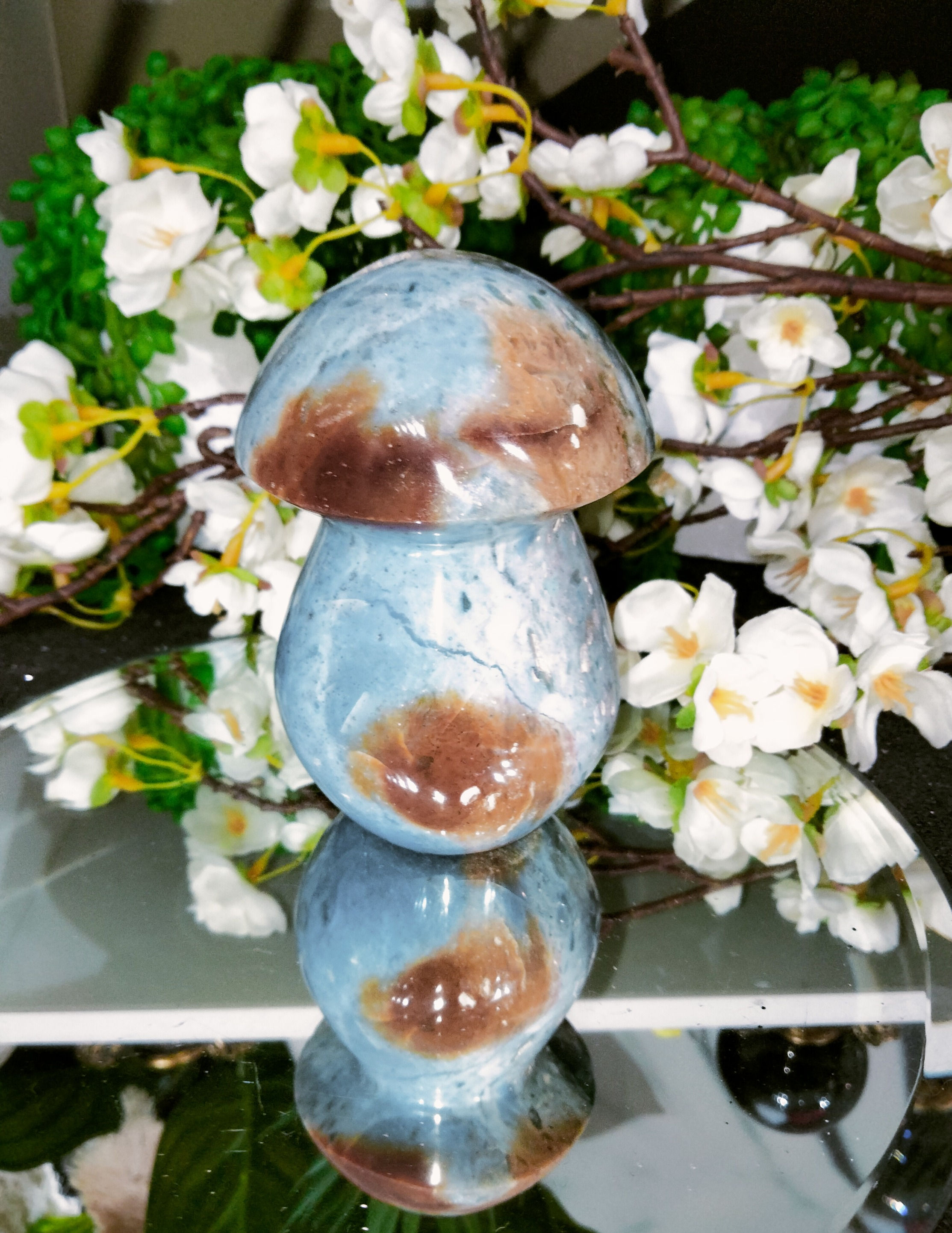 Ocean Jasper Mushroom