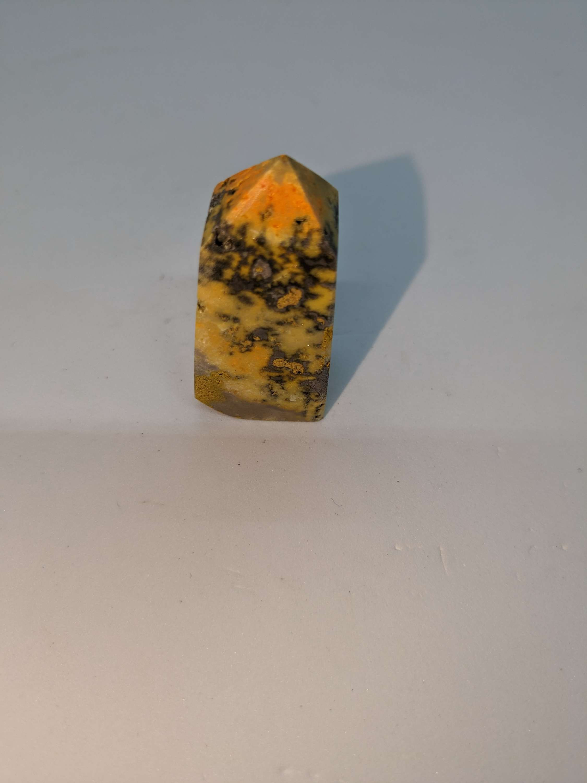Bumblebee Jasper Point