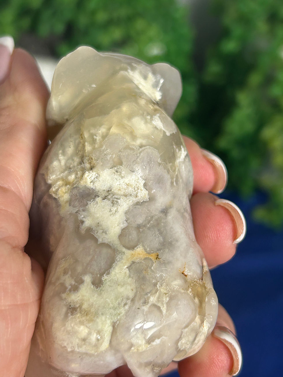 Thumbnail: Flower Agate Bear