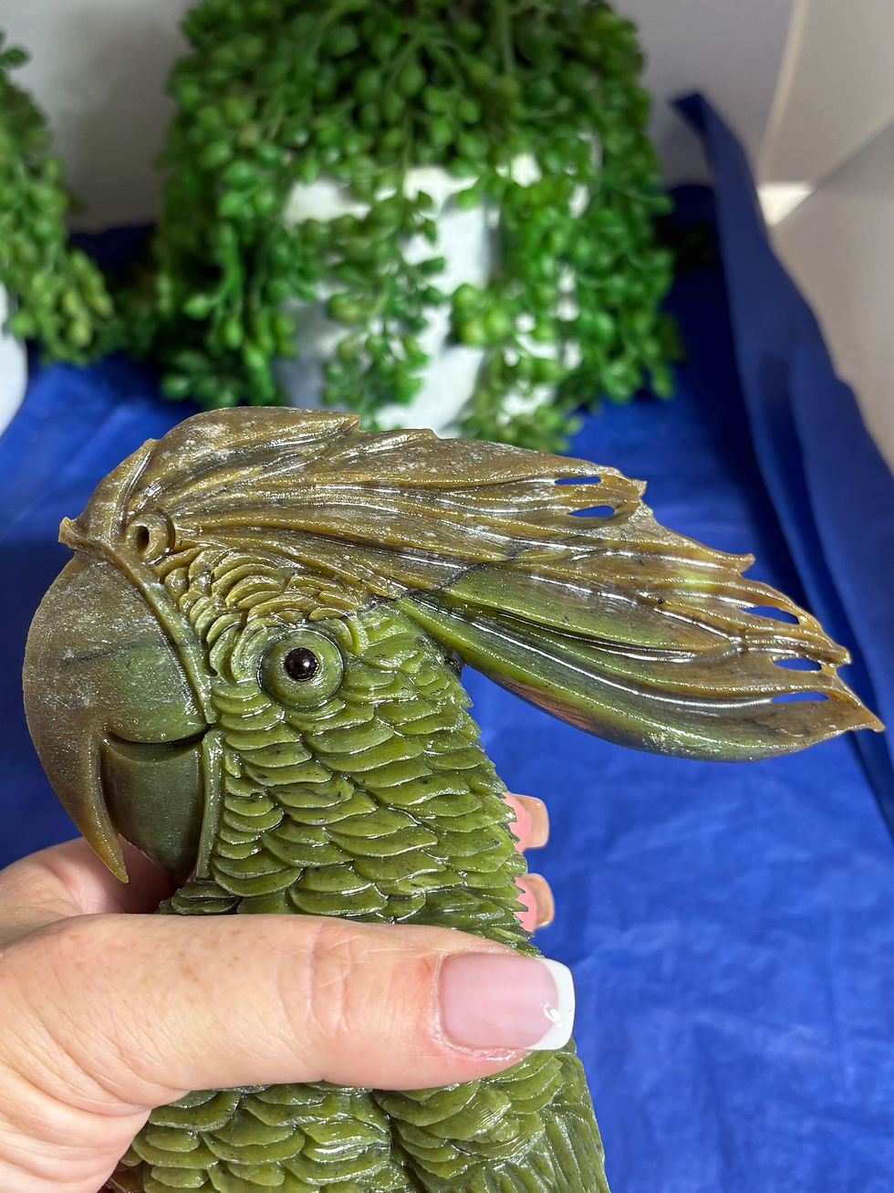 Thumbnail: Green Jade Cockatoo