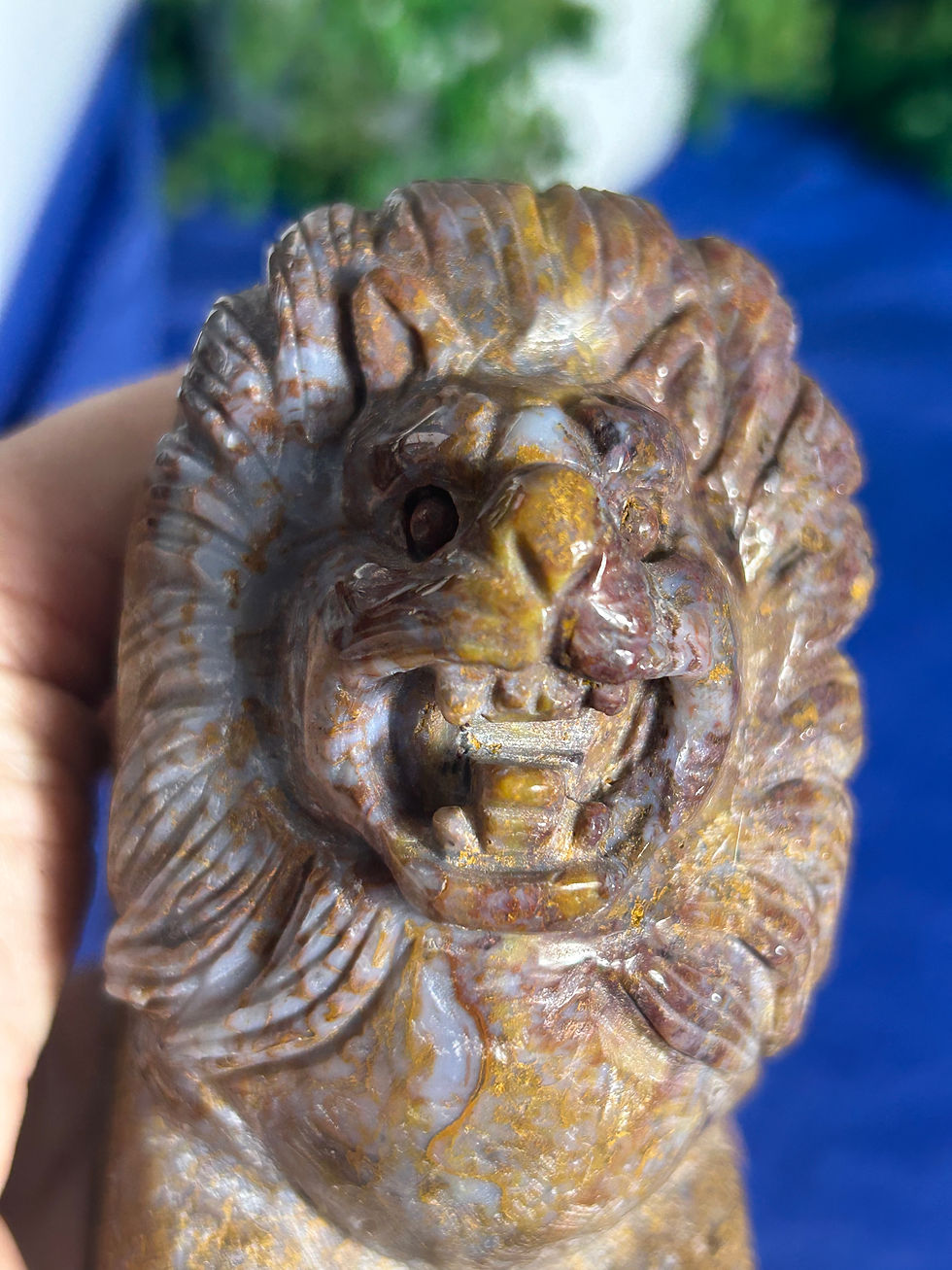 Thumbnail: Ocean Jasper Lion