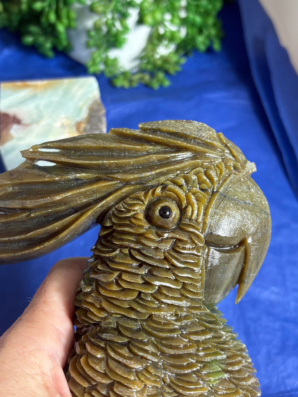 Thumbnail: Green Jade Cockatoo