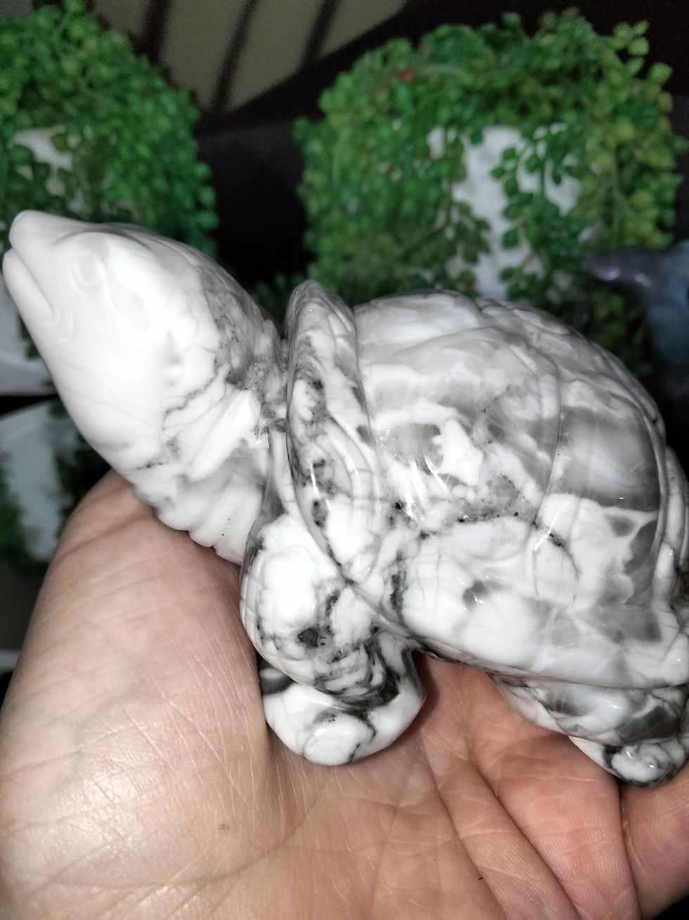 Thumbnail: Howlite Tortoise