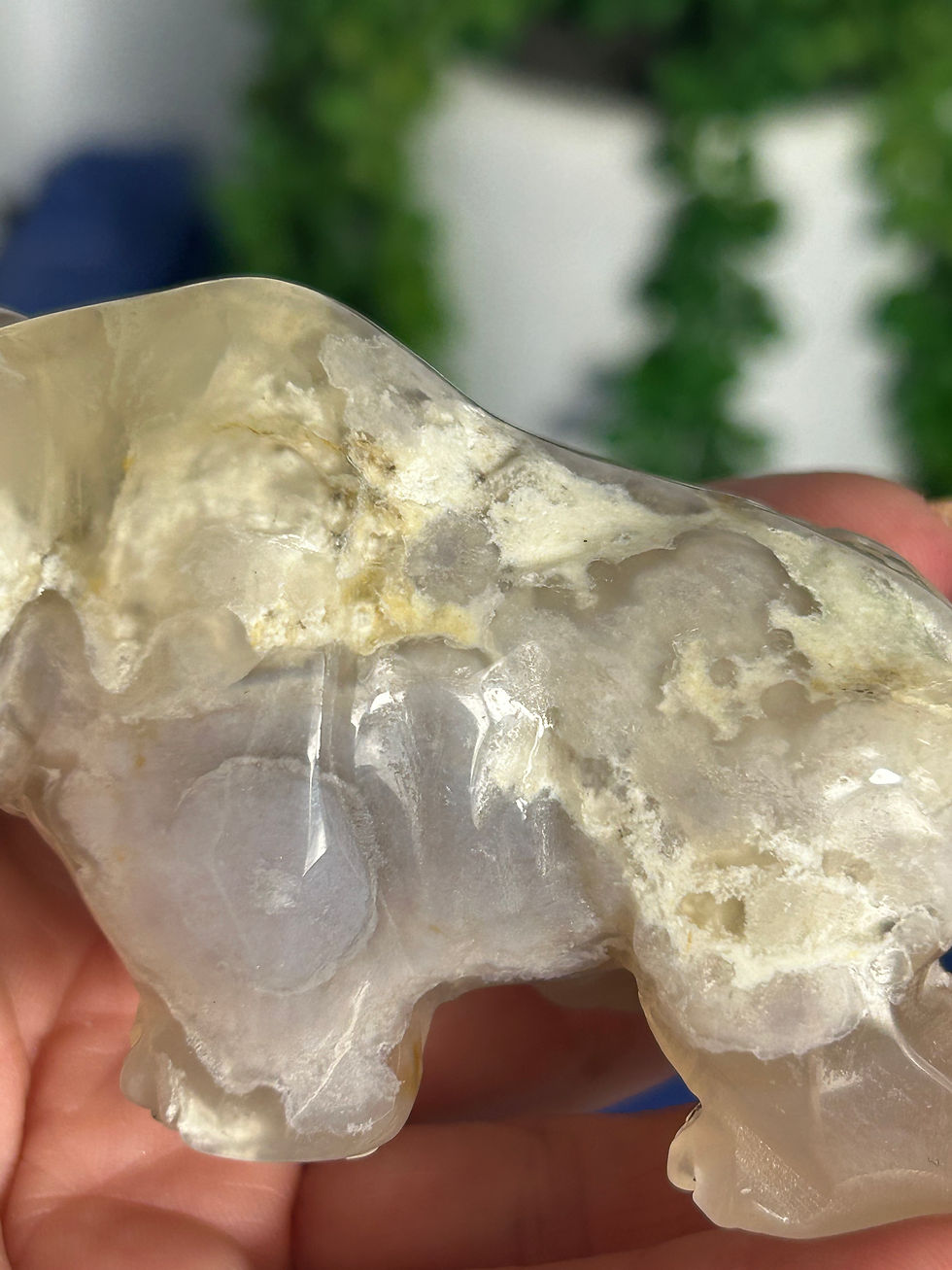 Thumbnail: Flower Agate Bear